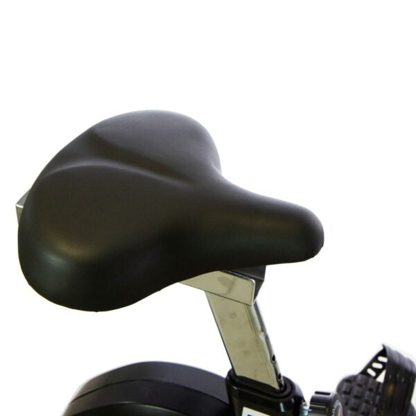 BH Fitness Ergo EMS H678 Upright Ergometer Bike (Ergo Series)