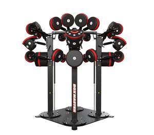StairMaster BoxMaster Quad