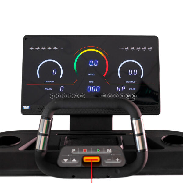 BH Fitness RX9 G6174N, G6174NTFT Folding Treadmill (RX Series)