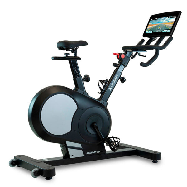 BH Fitness Smart Bike H9340S, H9340STFT Xcalibur Magnetic Iron S