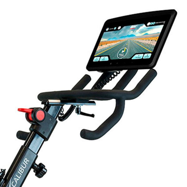 BH Fitness Smart Bike H9340, H9340TFT Xcalibur Magnetic Eichen