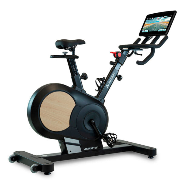 BH Fitness Smart Bike H9340, H9340TFT Xcalibur Magnetic Eichen