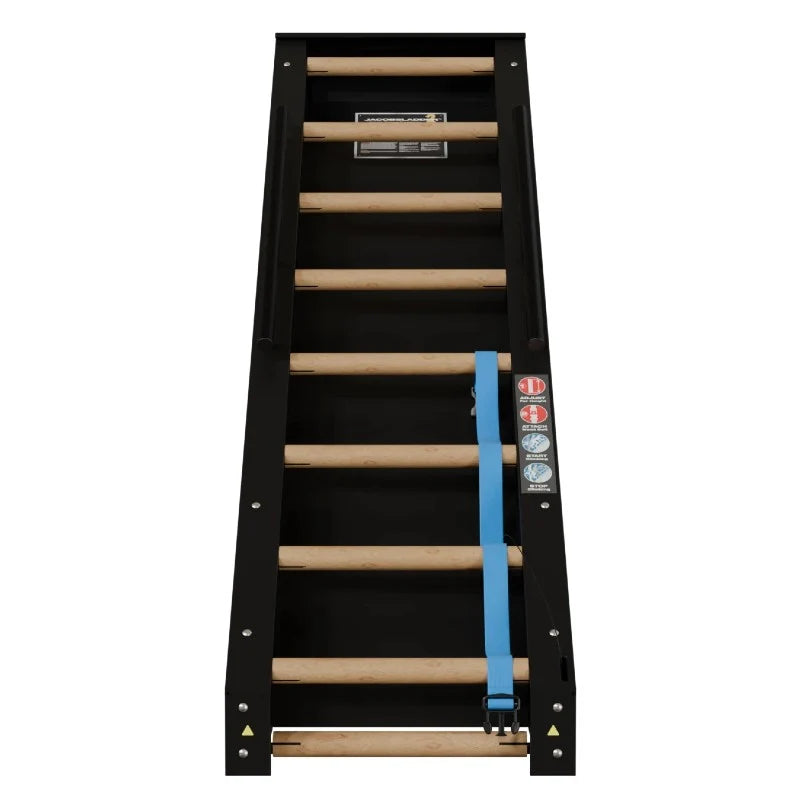 StairMaster Jacobs Ladder 2 (JL2)